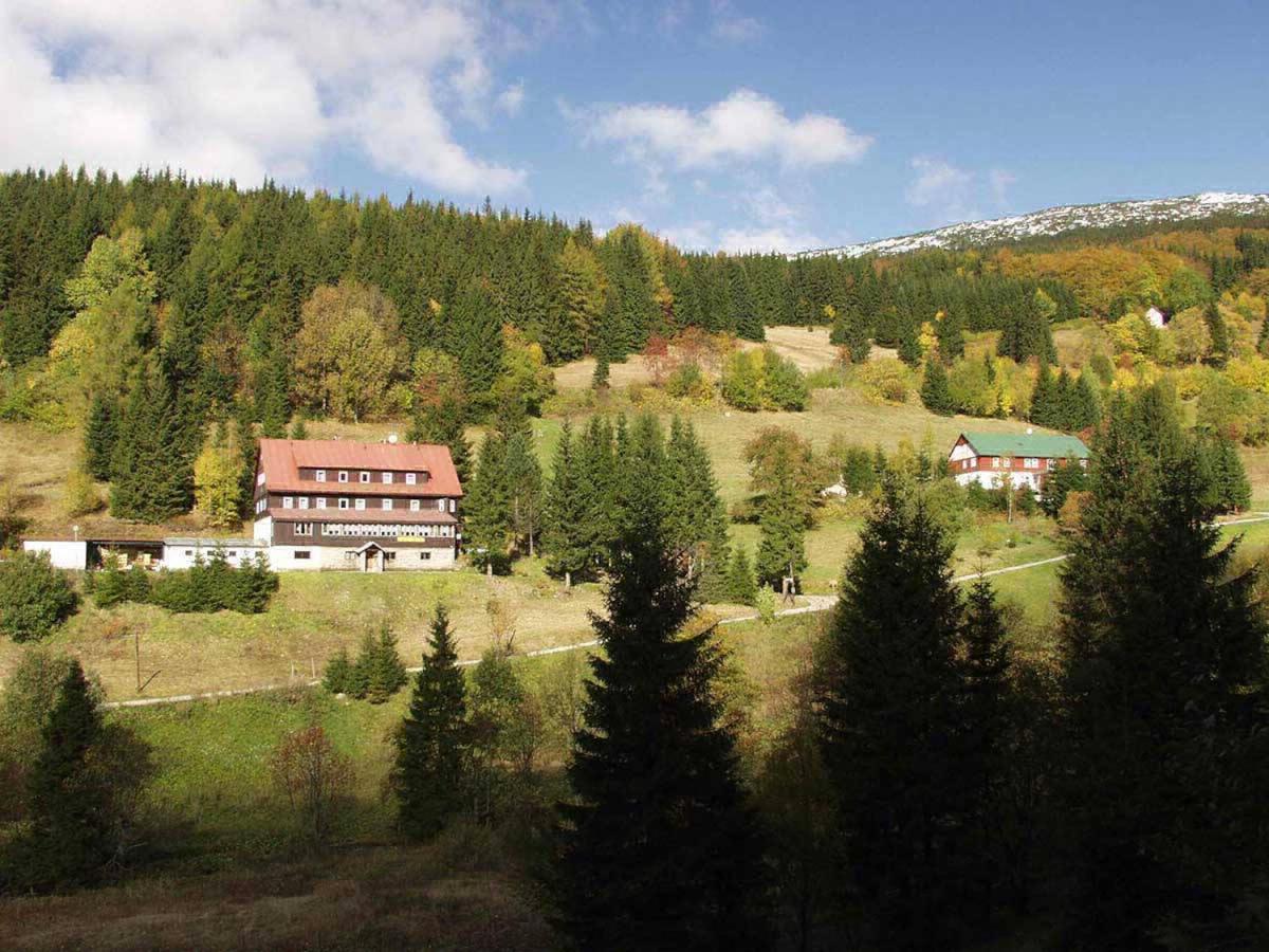 Hotel Flora Dolni Misecky Вітковіце Екстер'єр фото