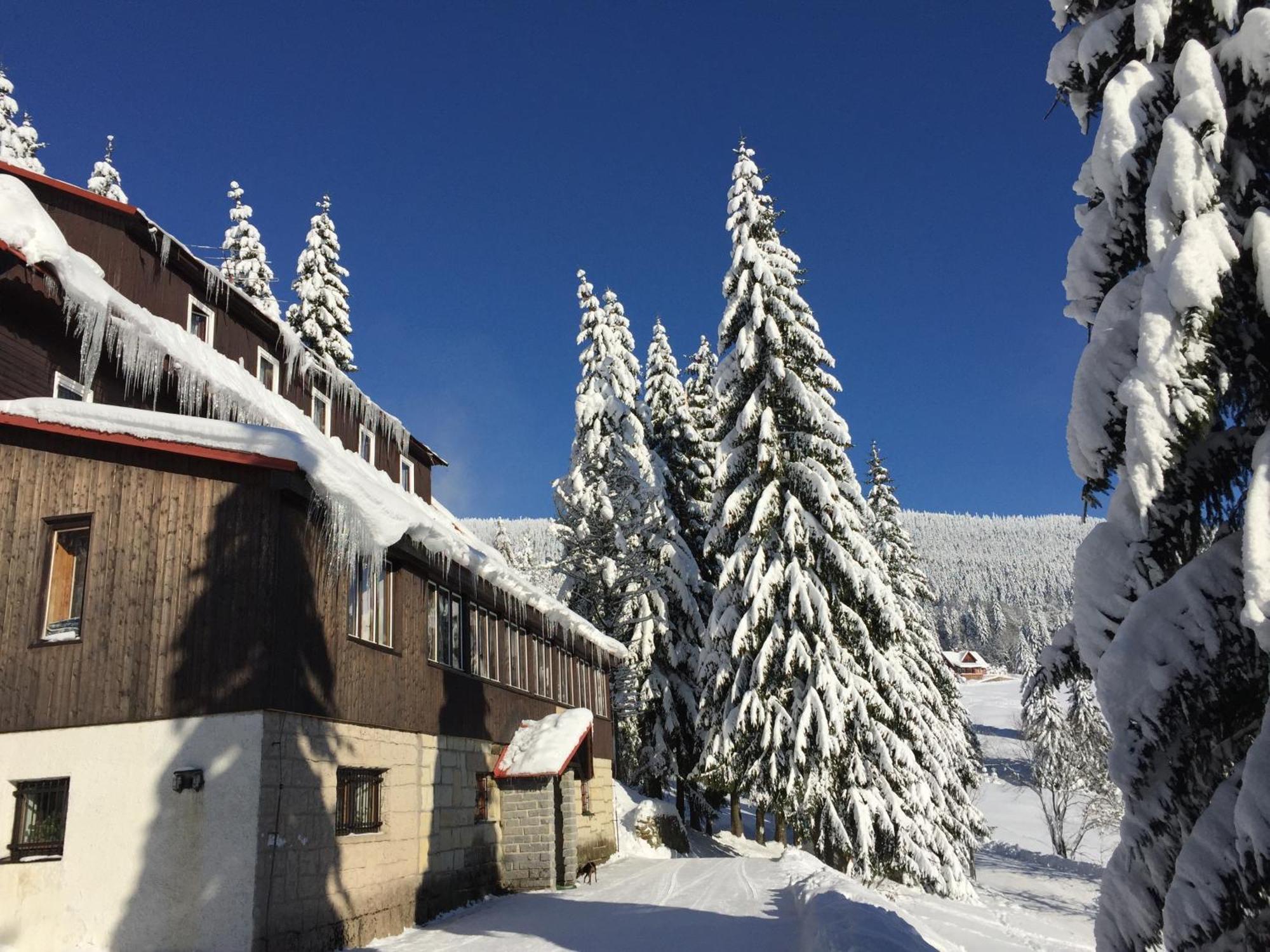 Hotel Flora Dolni Misecky Вітковіце Екстер'єр фото
