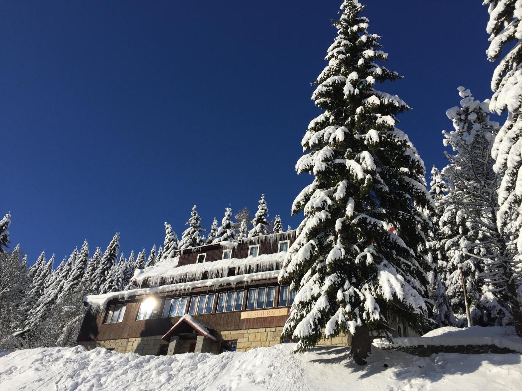 Hotel Flora Dolni Misecky Вітковіце Екстер'єр фото