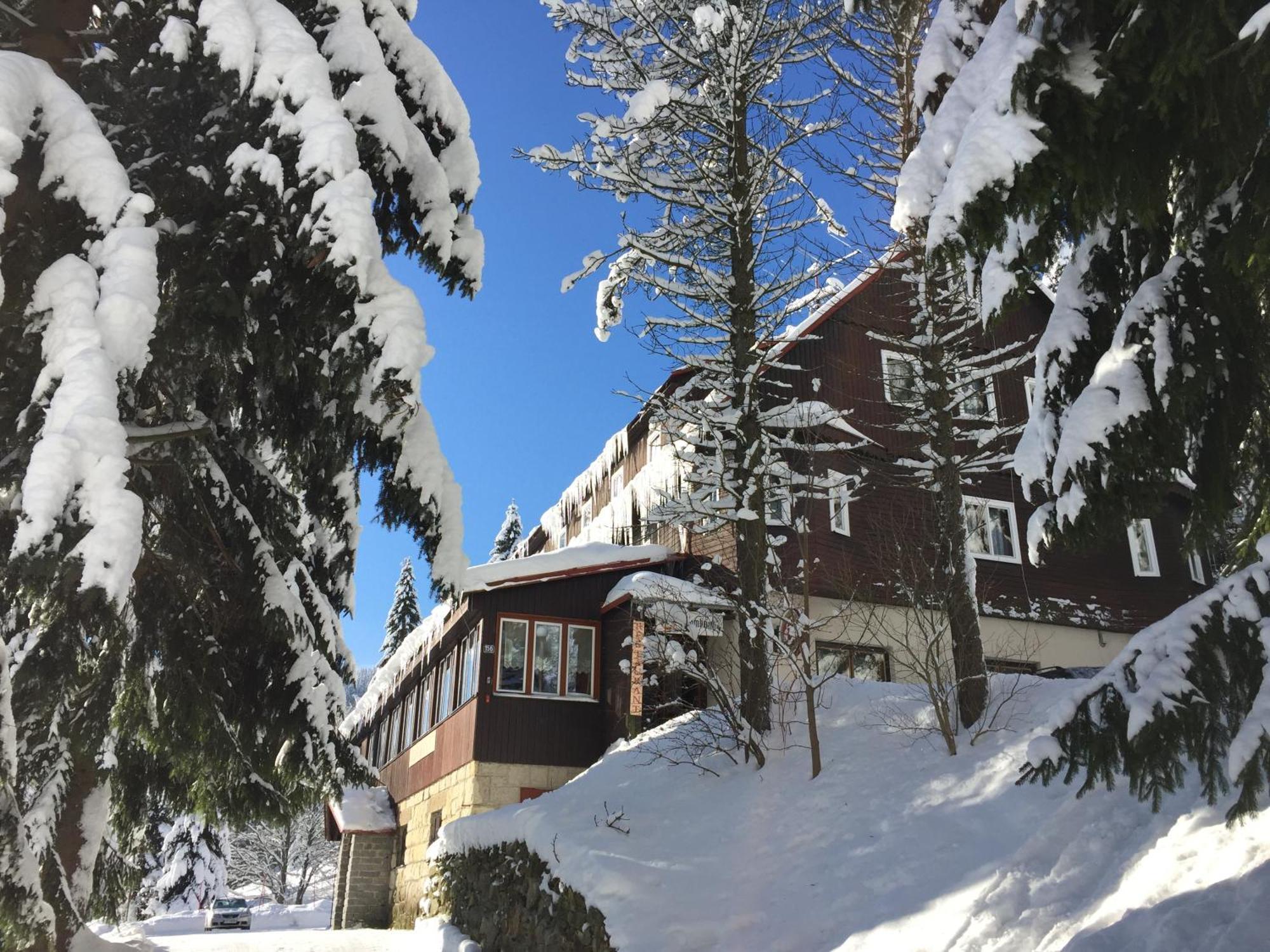 Hotel Flora Dolni Misecky Вітковіце Екстер'єр фото