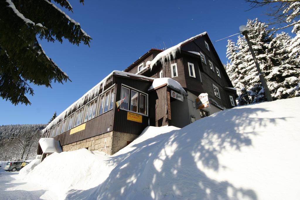 Hotel Flora Dolni Misecky Вітковіце Екстер'єр фото